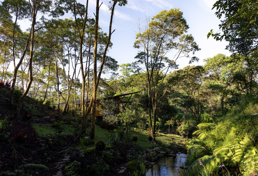 Hoguera de Madera I Mestizo Estudio Arquitectura I JAG Studio